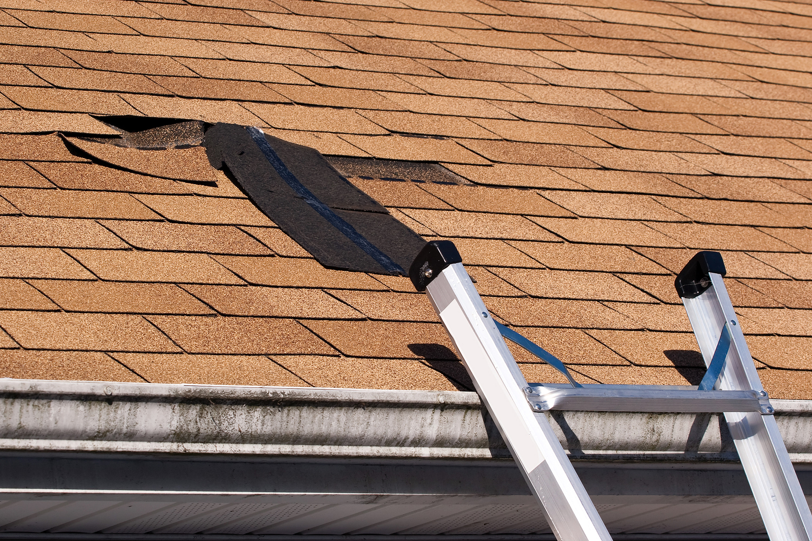 Using your tax refund to replace and/or repair your roof will not only add value but will protect the interior structure.
